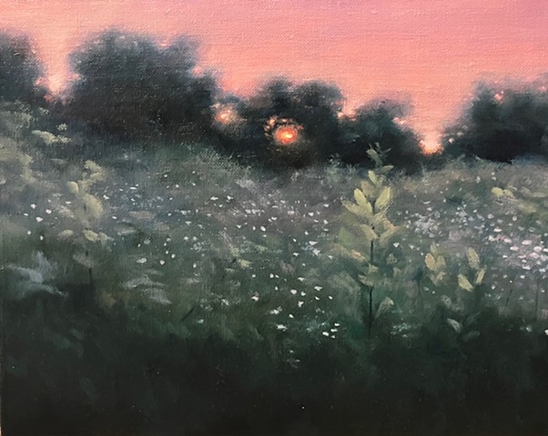 Pink Sunset