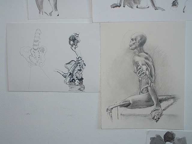 Anatomy Drawings