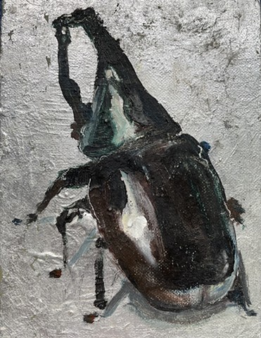 Rino Beetle 