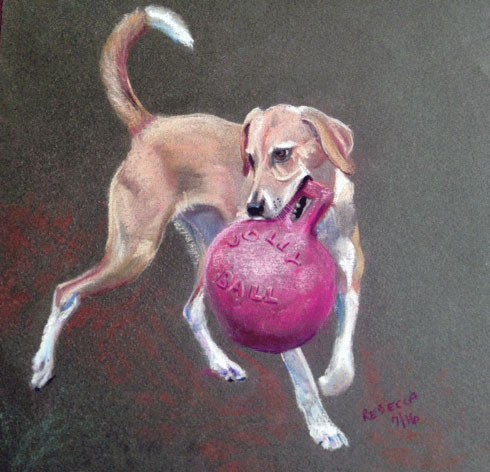 dog with a ball