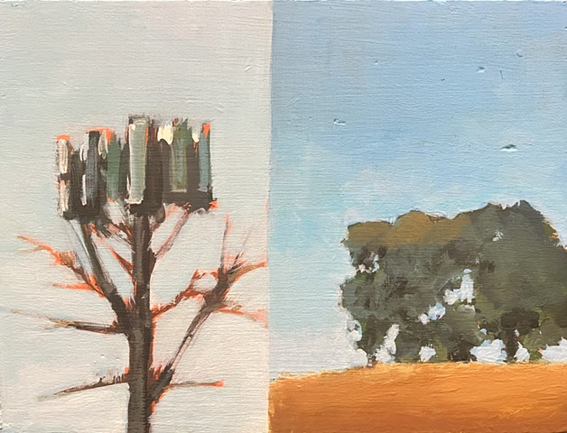 Poppy Hill small no. 1