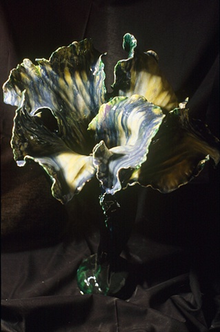 Springtime Large Iris