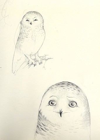 sketchbook page (owls)