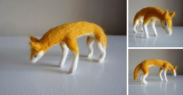 yellow fox (7)