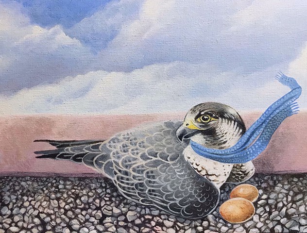 A Peregrine for Trish