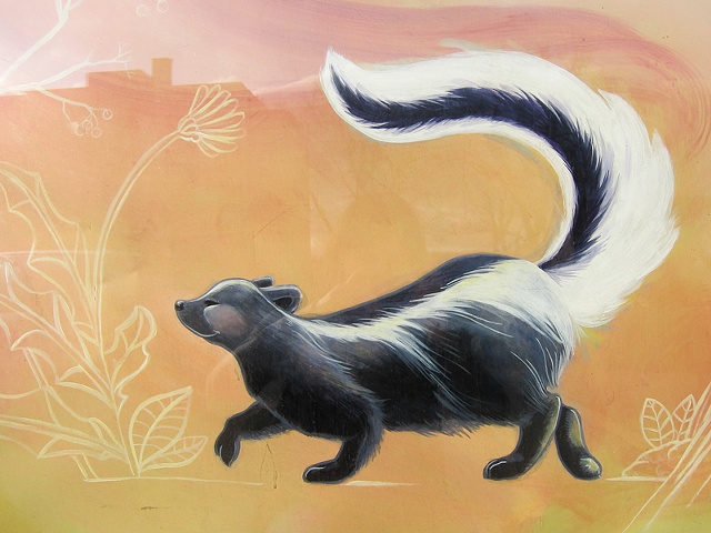 a skunk for curry's (detail)