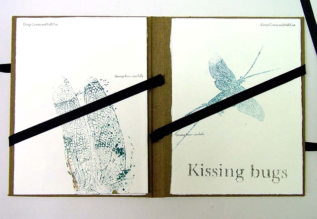 Kissing Bugs