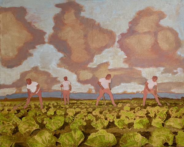 The Cabbage Field