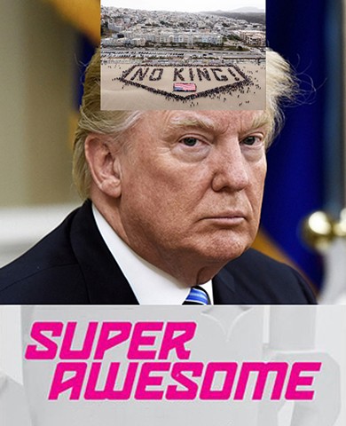 Big Beautiful Billionaire 