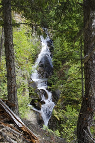 nature, forests, creek, waterfall