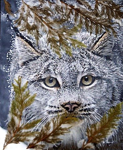 Lynx, Wildlife, Nature , encaustics