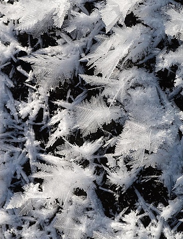 Ice crystals on Canim Lake