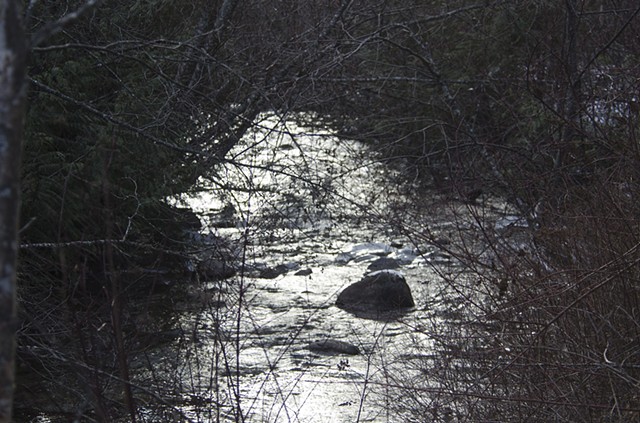 Nature, ice, creek, winter