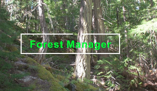 Forest Manager