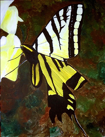  Butterfly -Pale Swallowtail - Papilio eurymedon