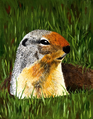 Close-up of a ground squirrel