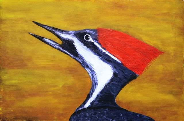 nature, painting, bird, woodpecker, pileated