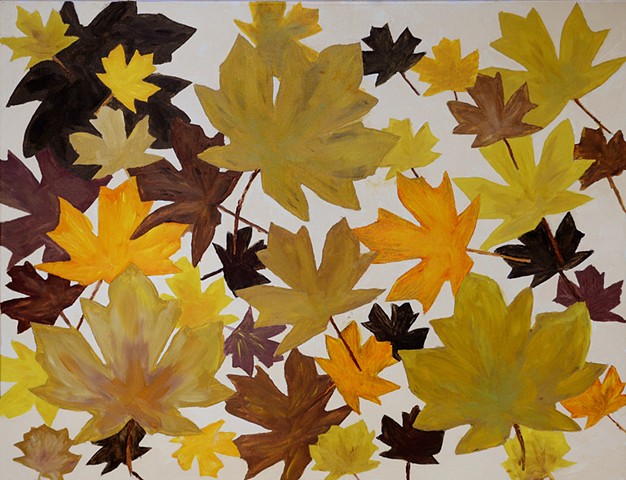 fall, autumn, maple leafs, 