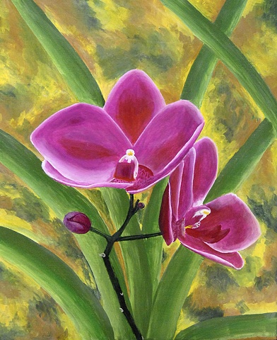 Orchid 1 - Dendrobium