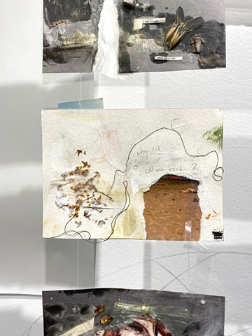 installation art, paper, graphite, paint, charcoal, Betsy Lohrer Hall