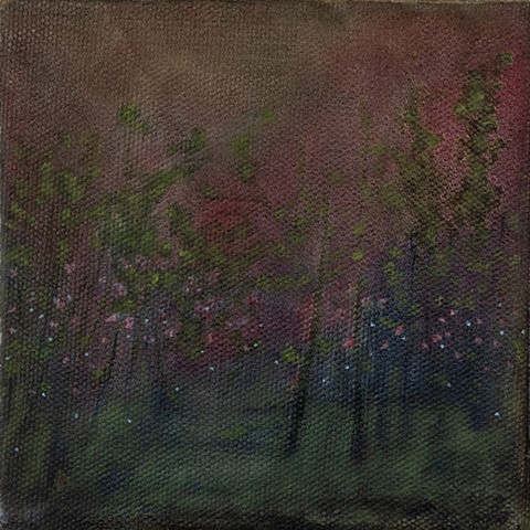 dawn