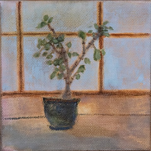 poppop's jade