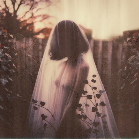 untitled - backyard