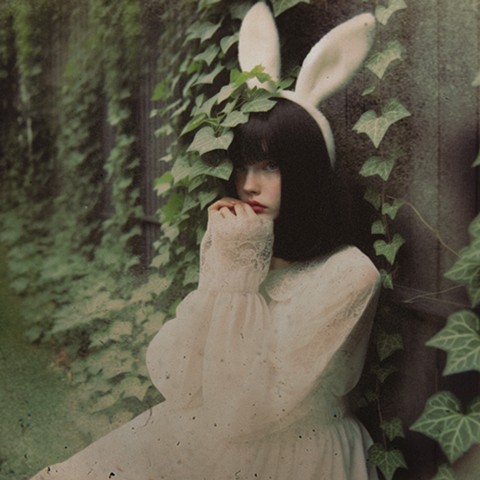 untitle - backyard rabbit