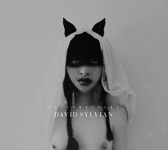 David Sylvian 