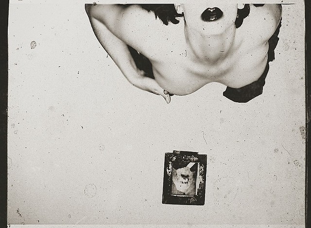ELEGIES