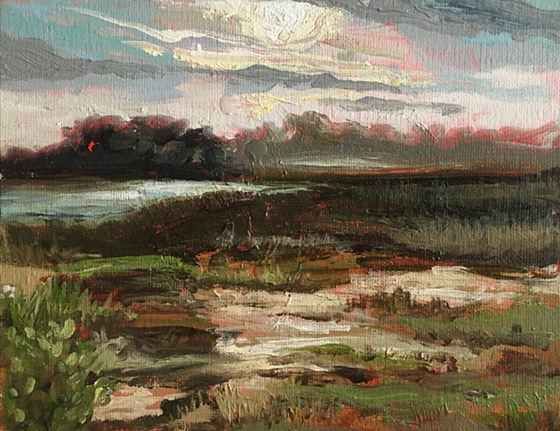 Low Country Landscape