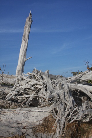 North Captiva Island, FL