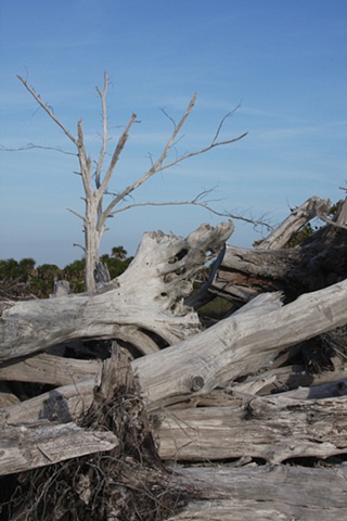 North Captiva Island, FL