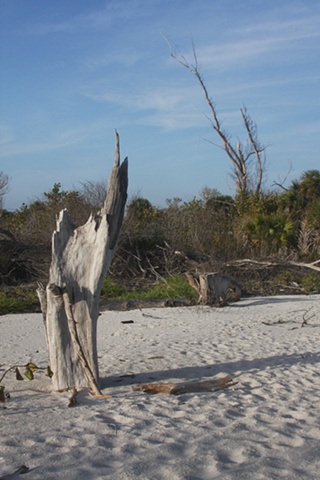 North Captiva Island, FL