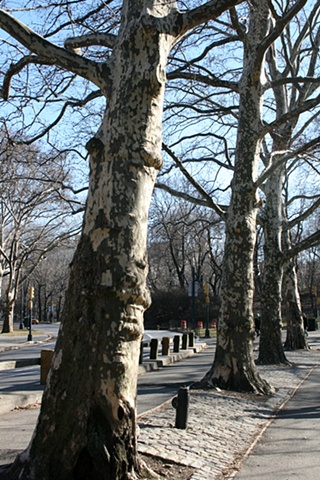 Central Park