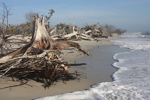 North Captiva Island, FL