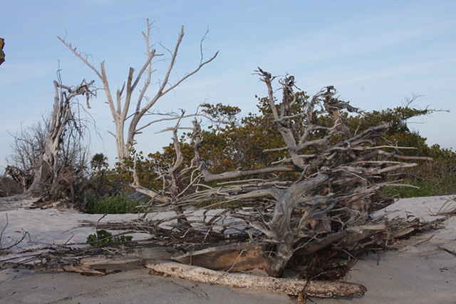 North Captiva Island, FL