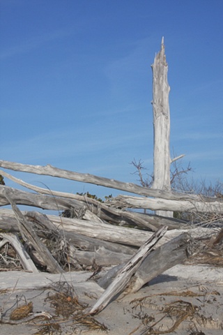 North Captiva Island, FL