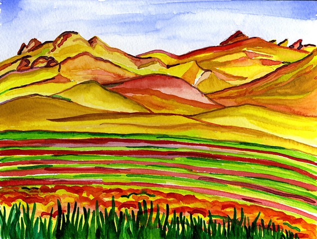 Fields on the Outskirts of the Zagros
