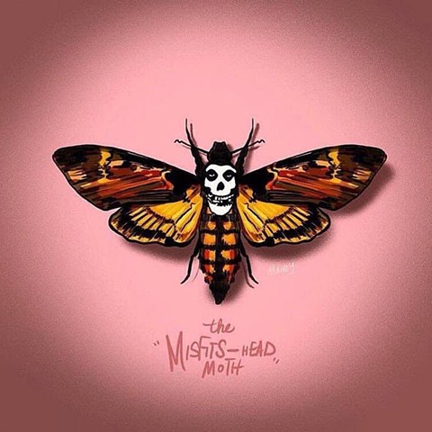 Misfits head moth