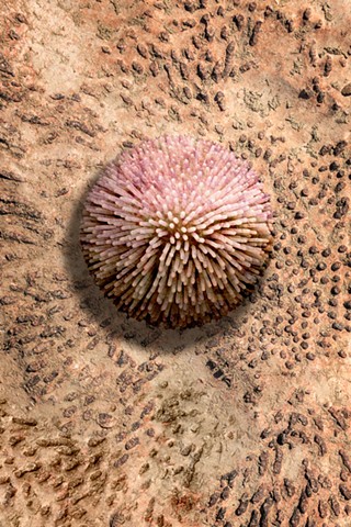 Toying With Eternity 10