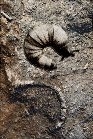 Toying With Eternity 9