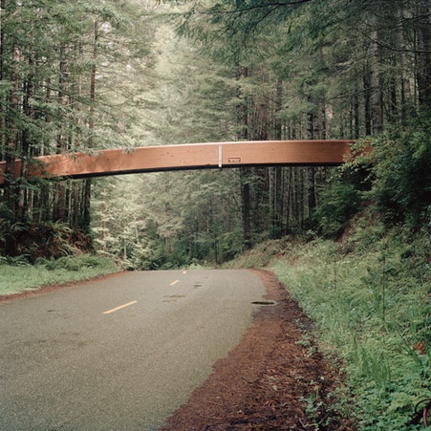 mansinfringmentofnature nature redwoods bridge photography danielmortensen daniel mortensen art artphotography