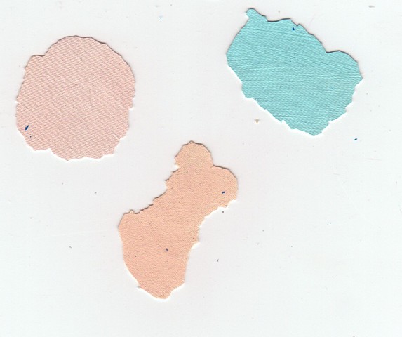 paint chips