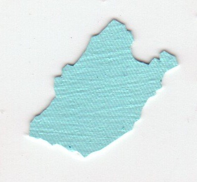 paint chips