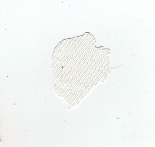 paint chips