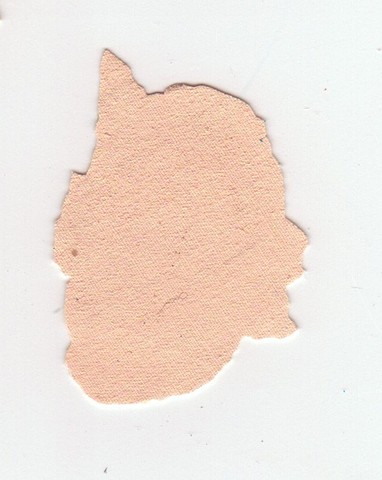 paint chips