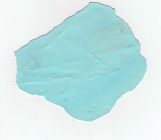 paint chips