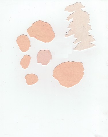 paint chips
