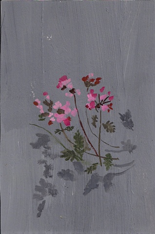 pinkie (flower) II